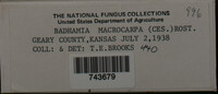 Image Associated With the Occurence